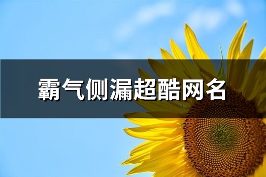 霸气侧漏超酷网名(247个)