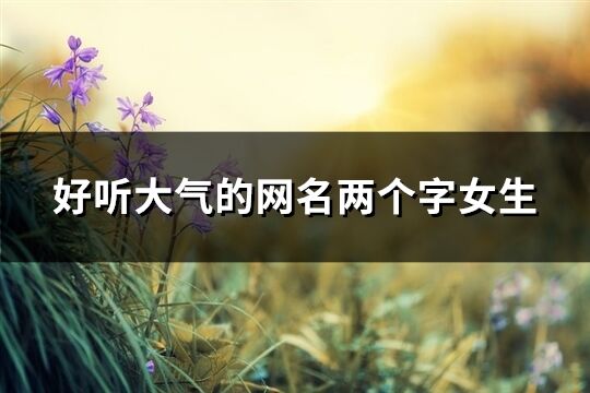 好听大气的网名两个字女生(260个)