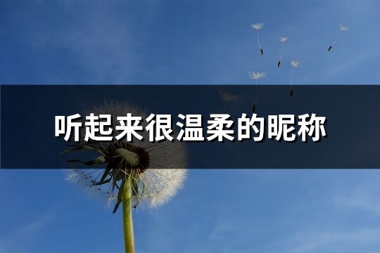 听起来很温柔的昵称(489个)
