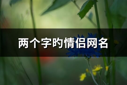 两个字旳情侣网名(102个)