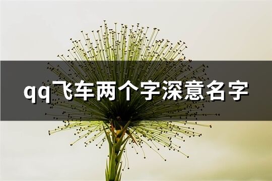 qq飞车两个字深意名字(97个)