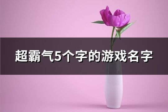 超霸气5个字的游戏名字(849个)