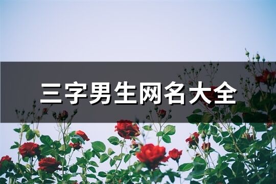三字男生网名大全(共1395个)