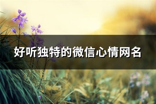 好听独特的微信心情网名(共777个)