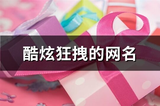 酷炫狂拽的网名(精选124个)