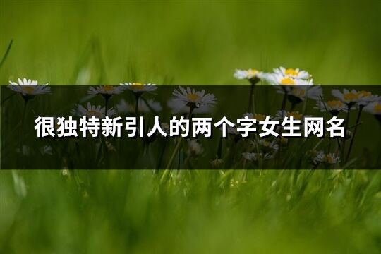 很独特新引人的两个字女生网名(2023个)
