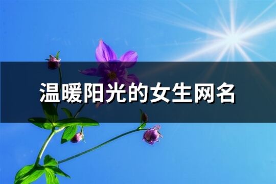 温暖阳光的女生网名(共512个)