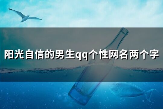 阳光自信的男生qq个性网名两个字(275个)