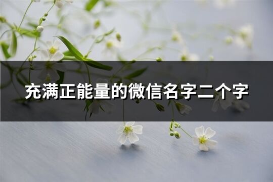 充满正能量的微信名字二个字(优选314个)