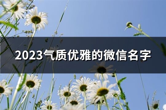 2023气质优雅的微信名字(200个)