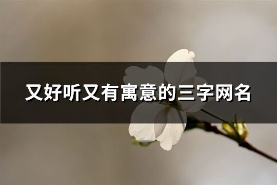 又好听又有寓意的三字网名(共167个)