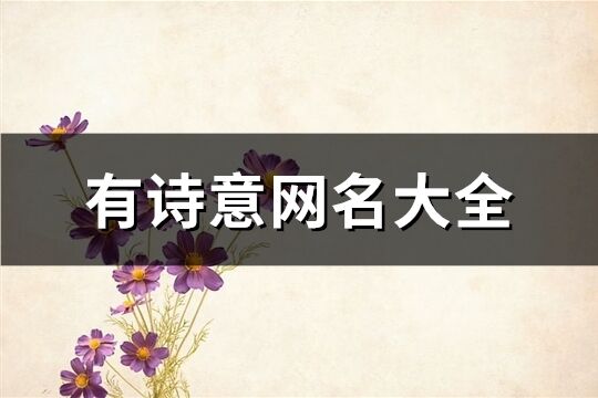 有诗意网名大全(优选312个)