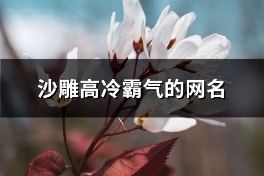 沙雕高冷霸气的网名(共168个)
