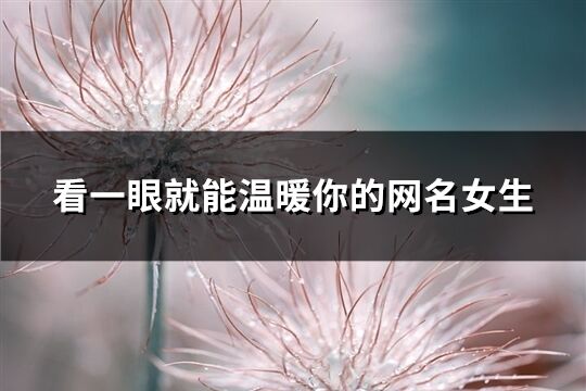 看一眼就能温暖你的网名女生(优选75个)