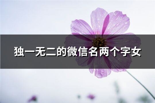 独一无二的微信名两个字女(共117个)