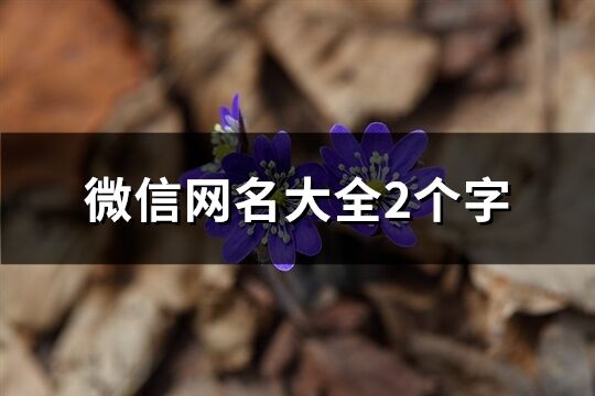 微信网名大全2个字(133个)