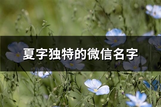 夏字独特的微信名字(优选162个)