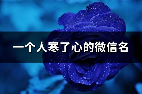 一个人寒了心的微信名(优选125个)