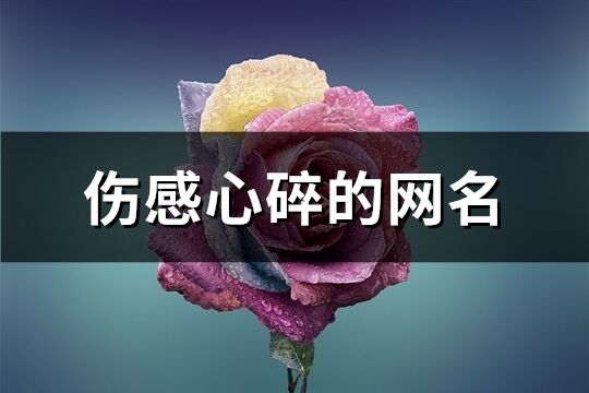 伤感心碎的网名(优选433个)
