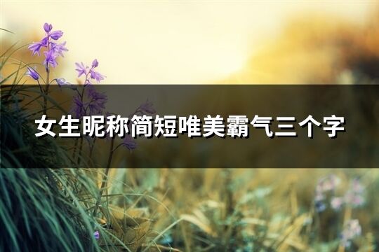 女生昵称简短唯美霸气三个字(317个)