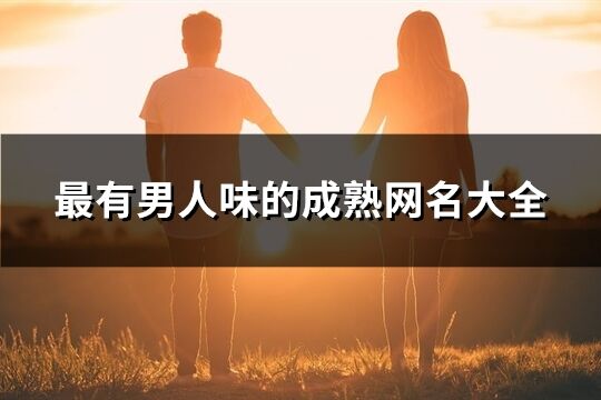 最有男人味的成熟网名大全(378个)