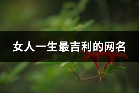 女人一生最吉利的网名(453个)