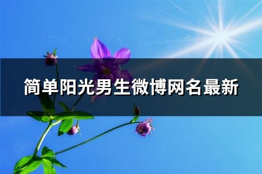 简单阳光男生微博网名最新(共336个)