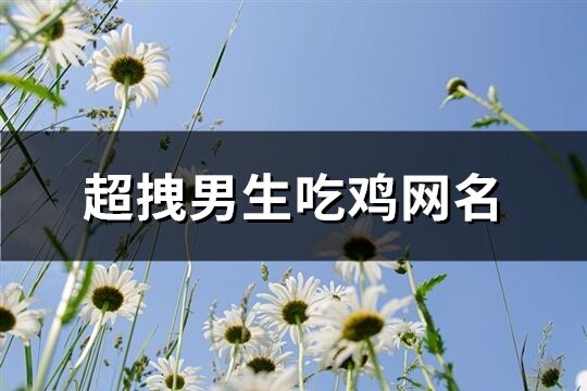 超拽男生吃鸡网名(精选210个)