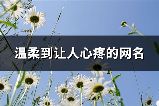 温柔到让人心疼的网名(共164个)