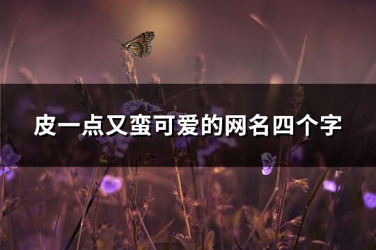 皮一点又蛮可爱的网名四个字(166个)