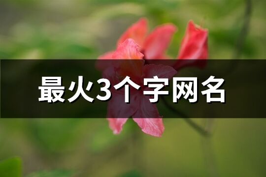 最火3个字网名(优选539个)