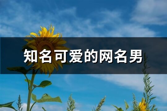 知名可爱的网名男(精选318个)