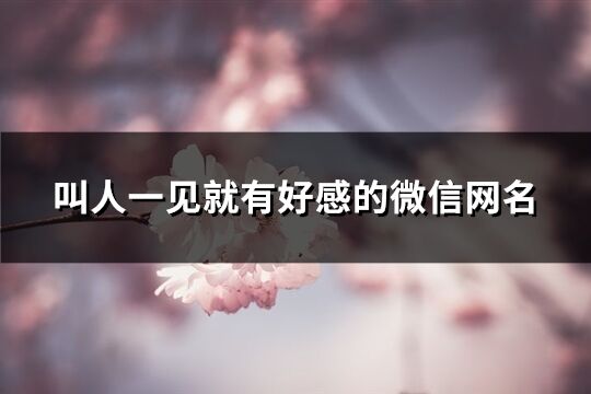 叫人一见就有好感的微信网名(优选219个)