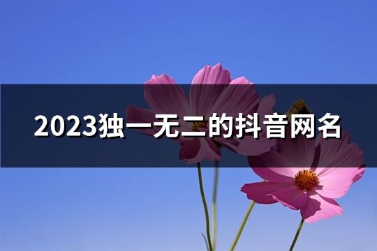 2023独一无二的抖音网名(精选457个)