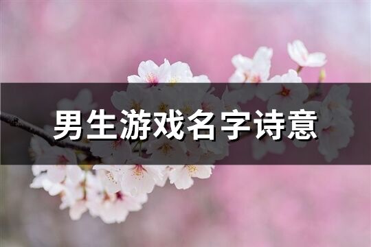 男生游戏名字诗意(共170个)