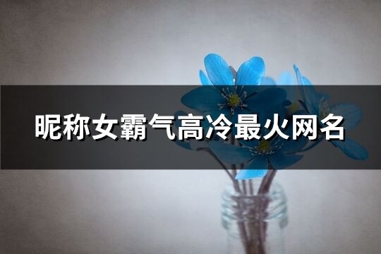 昵称女霸气高冷最火网名(优选591个)