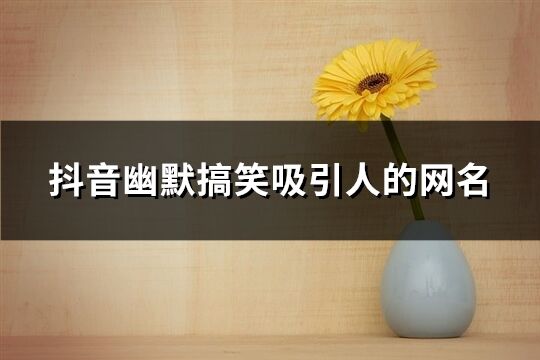 抖音幽默搞笑吸引人的网名(优选228个)