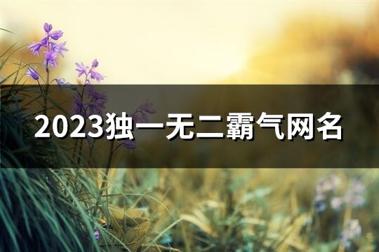 2023独一无二霸气网名(精选276个)