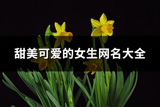 甜美可爱的女生网名大全(共286个)