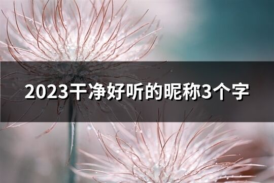 2023干净好听的昵称3个字(共1701个)