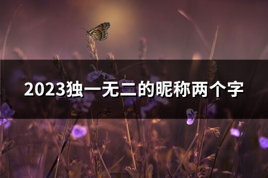 2023独一无二的昵称两个字(优选1047个)