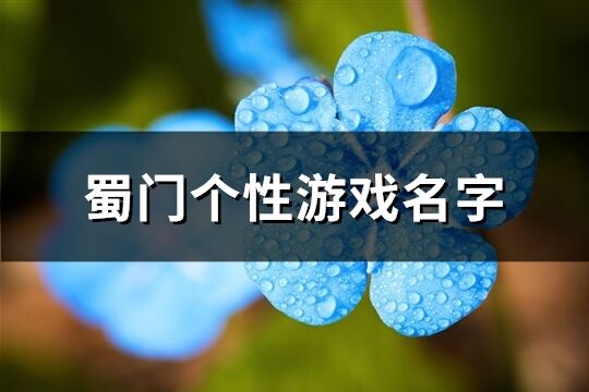 蜀门个性游戏名字(230个)