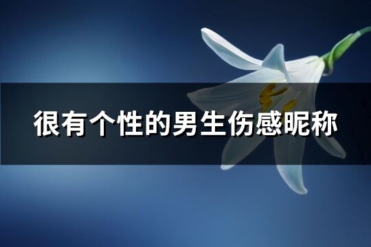 很有个性的男生伤感昵称(467个)