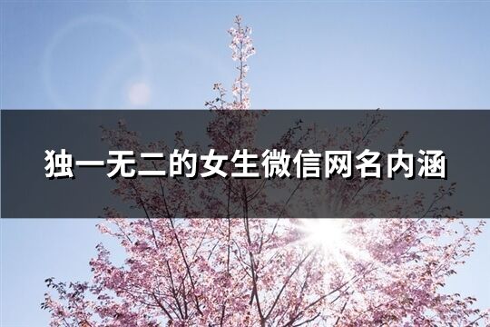独一无二的女生微信网名内涵(249个)