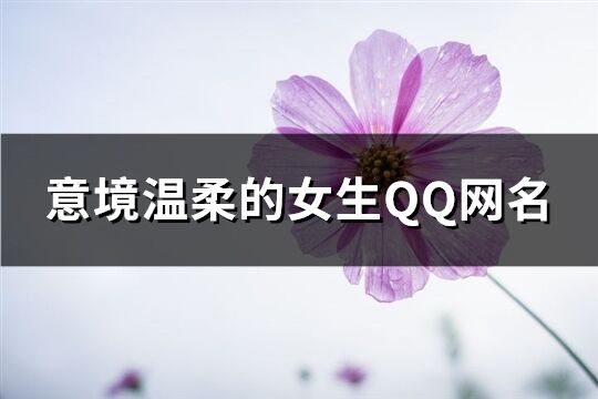 意境温柔的女生QQ网名(303个)