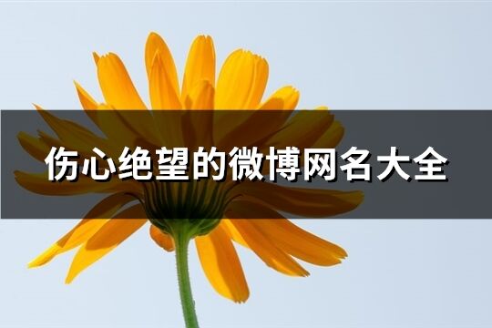 伤心绝望的微博网名大全(174个)