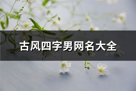 古风四字男网名大全(共591个)