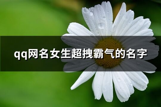 qq网名女生超拽霸气的名字(共256个) qq网名女生超拽霸气的名字(共256个)