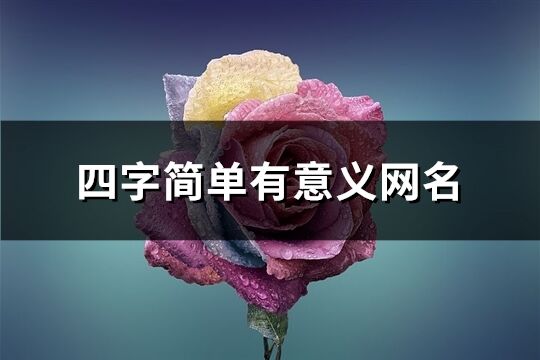 四字简单有意义网名(879个)
