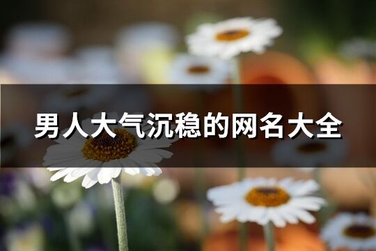 男***气沉稳的网名大全(精选503个)